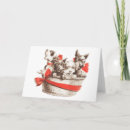 Search for puppy cards Illustration