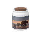 Search for polar bears favors Snow