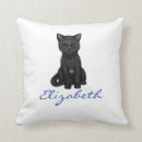 Search for black cat pillows Kittens