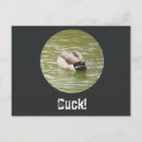 Search for duck fart Butt