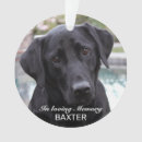Search for pet memorial ornaments Picture