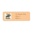 Search for donkey return address labels Pets