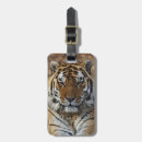 Search for tiger luggage tags Adam jones