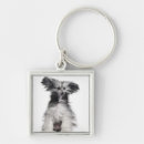 Search for chinese keychains Dog