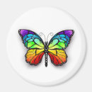 Search for rainbow magnets Colorful