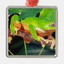 Search for monkey ornaments Colorful