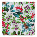 Search for pinecone gifts Berries