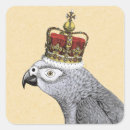 Search for parrot stickers African grey parrot