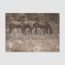 Search for western tissue paper Vintage