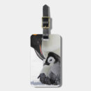 Search for penguin luggage tags Animals in the wild