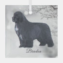 Search for newfoundland dog ornaments Newfie