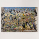 Search for minnesota puzzles Owl