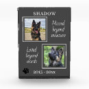 Search for dog loss quote Remembrance