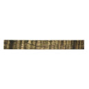 Search for palm trees ribbon Botanical