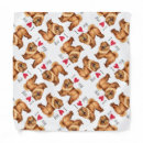 Search for chow chow gifts Songshi quan