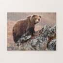 Search for grizzly bear puzzles Outdoors