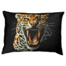 Search for cat furniture Animals