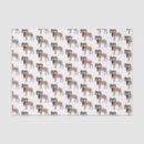 Search for goat tissue paper Sheep