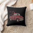 Search for valentine pillows 2025