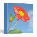 Search for strawberry binders Blossom