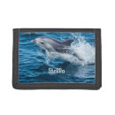 Search for dolphin gifts Ocean