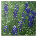 Search for texas wildflower tiles Plant