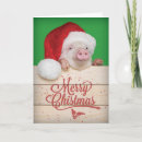Search for pig christmas cards Funny