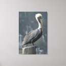 Search for large photography art wildlife