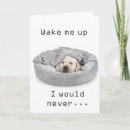 Search for funny dog anniversary cards Partner