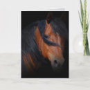 Search for horse cards Loss of horse