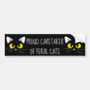 Search for cat bumper stickers crazy cat lady