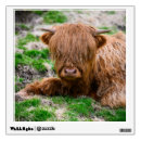 Search for cow wall decals Cattle