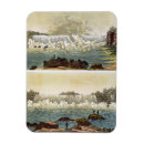 Search for niagara falls magnets America