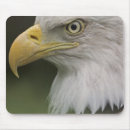 Search for adult mousepads Feather