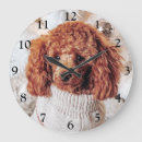 Search for poodle clocks Puppies