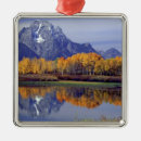Search for grand teton national park ornaments Forest