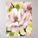 Search for magnolia posters Floral