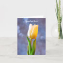 Search for white flowers sympathy thank you cards Blue