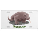 Search for dragon license plates Lizard