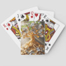 Search for money tree Wealth