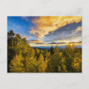 Search for autumn postcards Forest