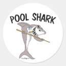 Search for pool cue stickers Hobby