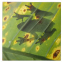 Search for frog tiles Animal
