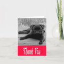 Search for black pug cards Puppies