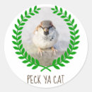 Search for warrior cats crafts party Cute