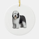 Search for old english sheepdog ornaments Puppy