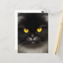 Search for cat meme postcards pet