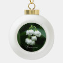 Search for white lily flower flowers lilies ornaments Plant