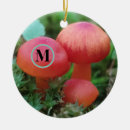 Search for mushroom ornaments Colorful