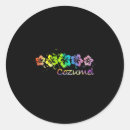 Search for cozumel mexico stickers Beach
